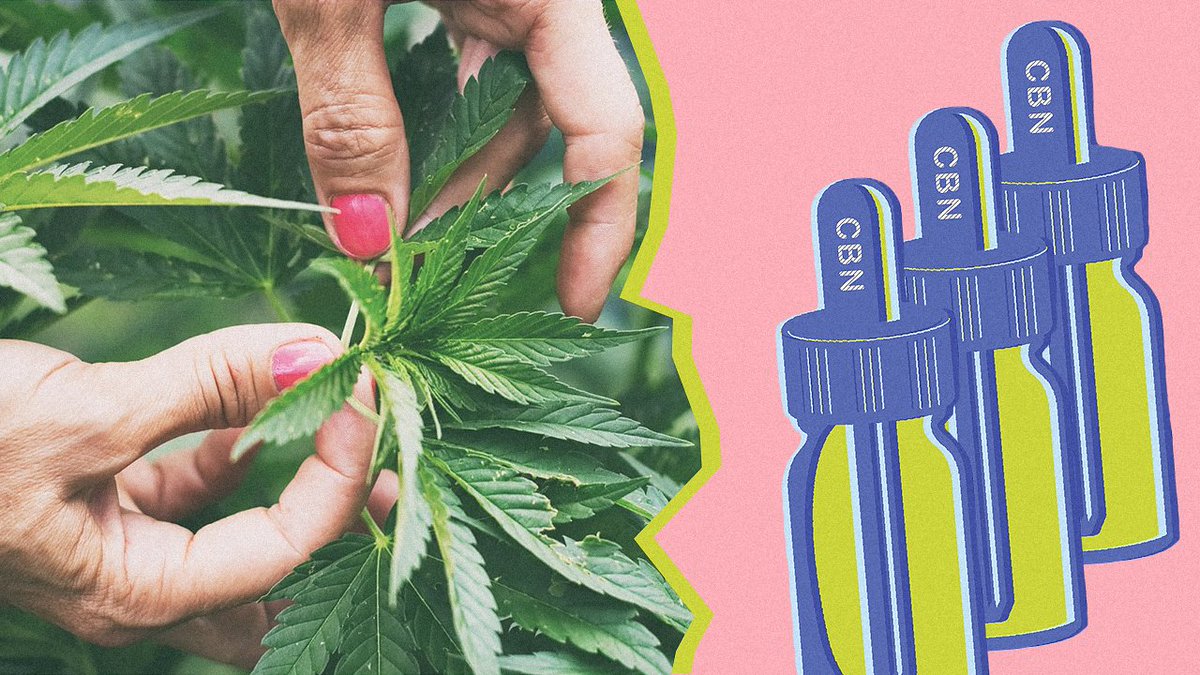 CbdMarket's tweet image. 💡 What is CBN and How It Сonnects with CBD?

If you would like to find out more about this beneficial cannabinoid, read on cbd.market/what-is/what-i…

#cbd #cbdguide #cbdmarket  #cannabiscommunity  #bud #cbdoil #cbdheals #cbdmovement #cbdlife #cbdhealth #cbdproducts #cbddream