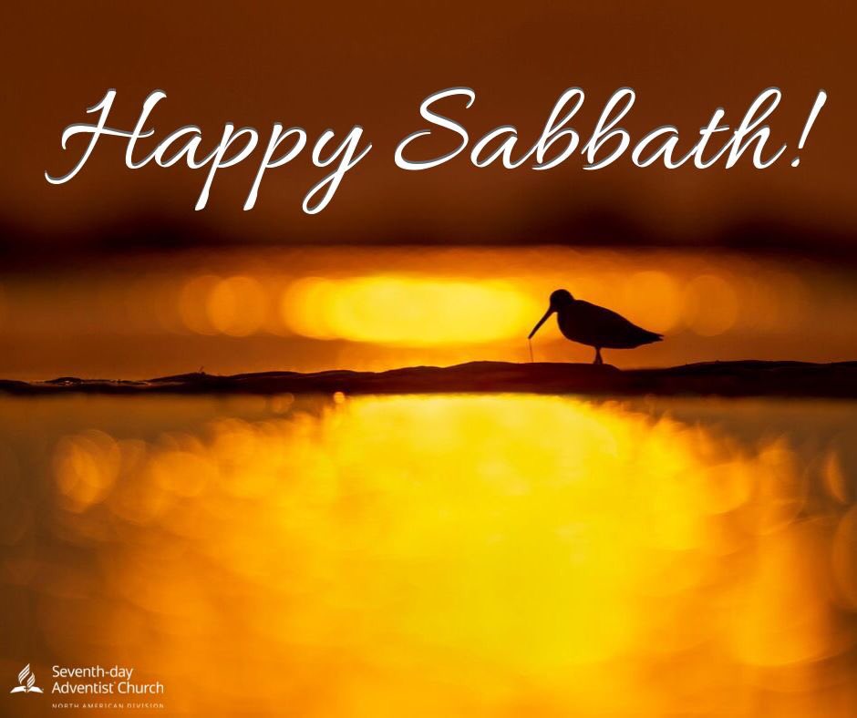 GCSDATemple's tweet photo. Holy Sabbath....day of rest. #sabbath #restingwell https://t.co/CIL0qHcD4C