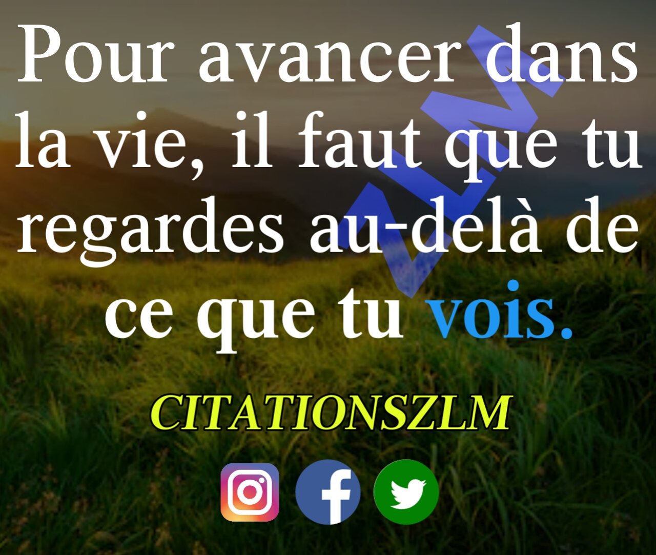 Citation Citationszlm Twitter