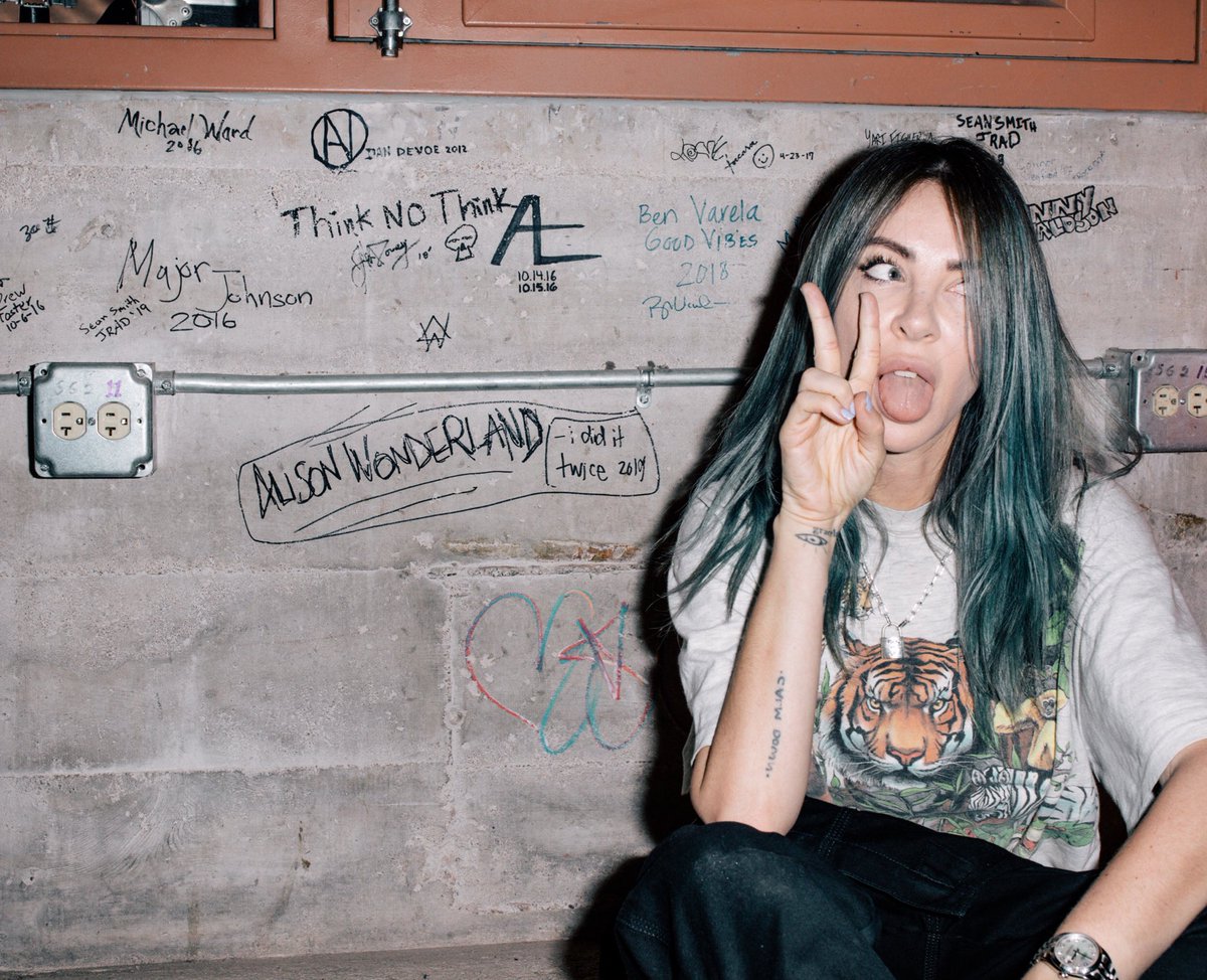 ALISON WONDERLAND tweet media