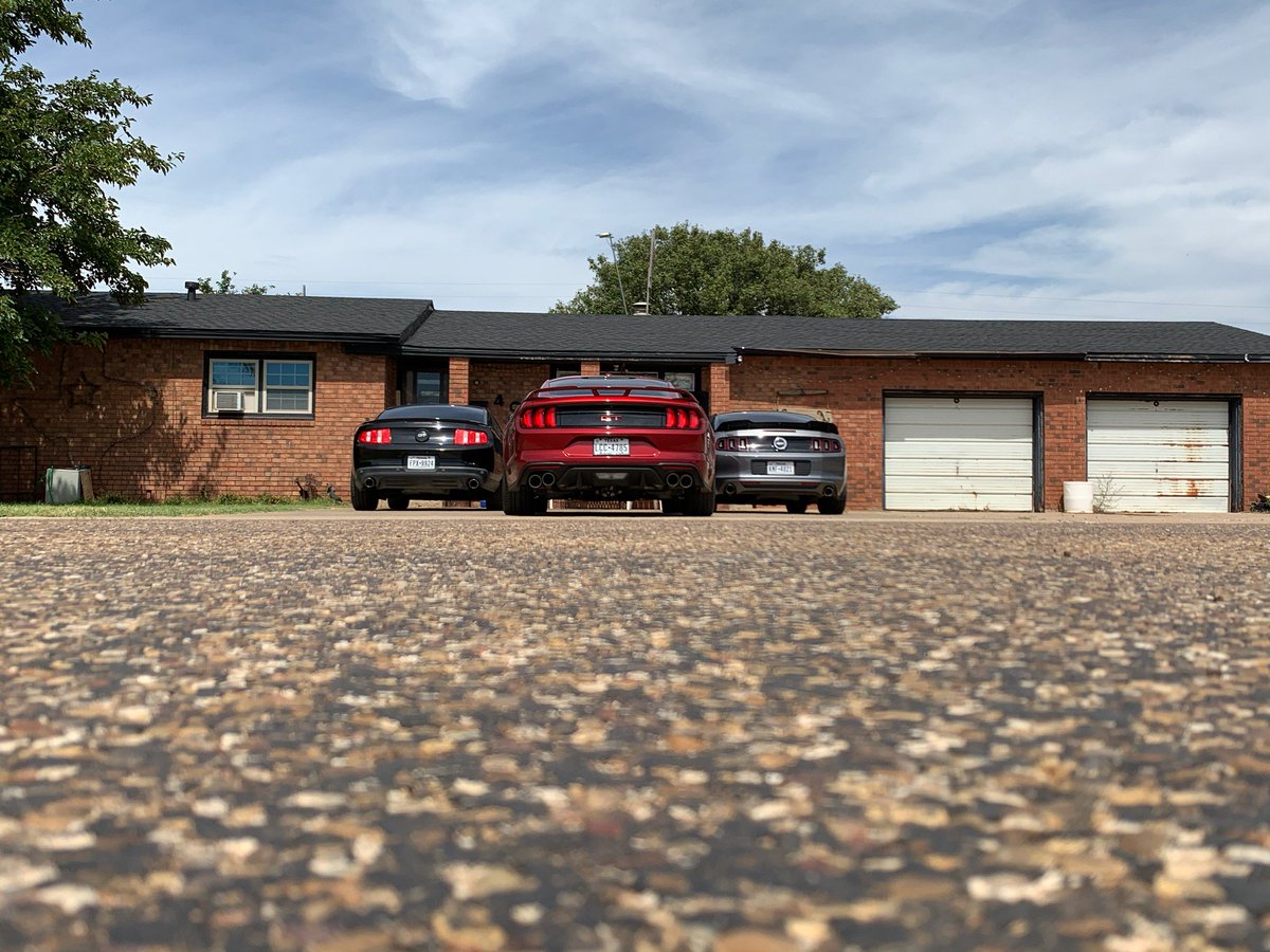 Cam_Amalla1's tweet image. 3 coyotes on the hunt #coyotenation #mustang #modmustangs #fordforlife