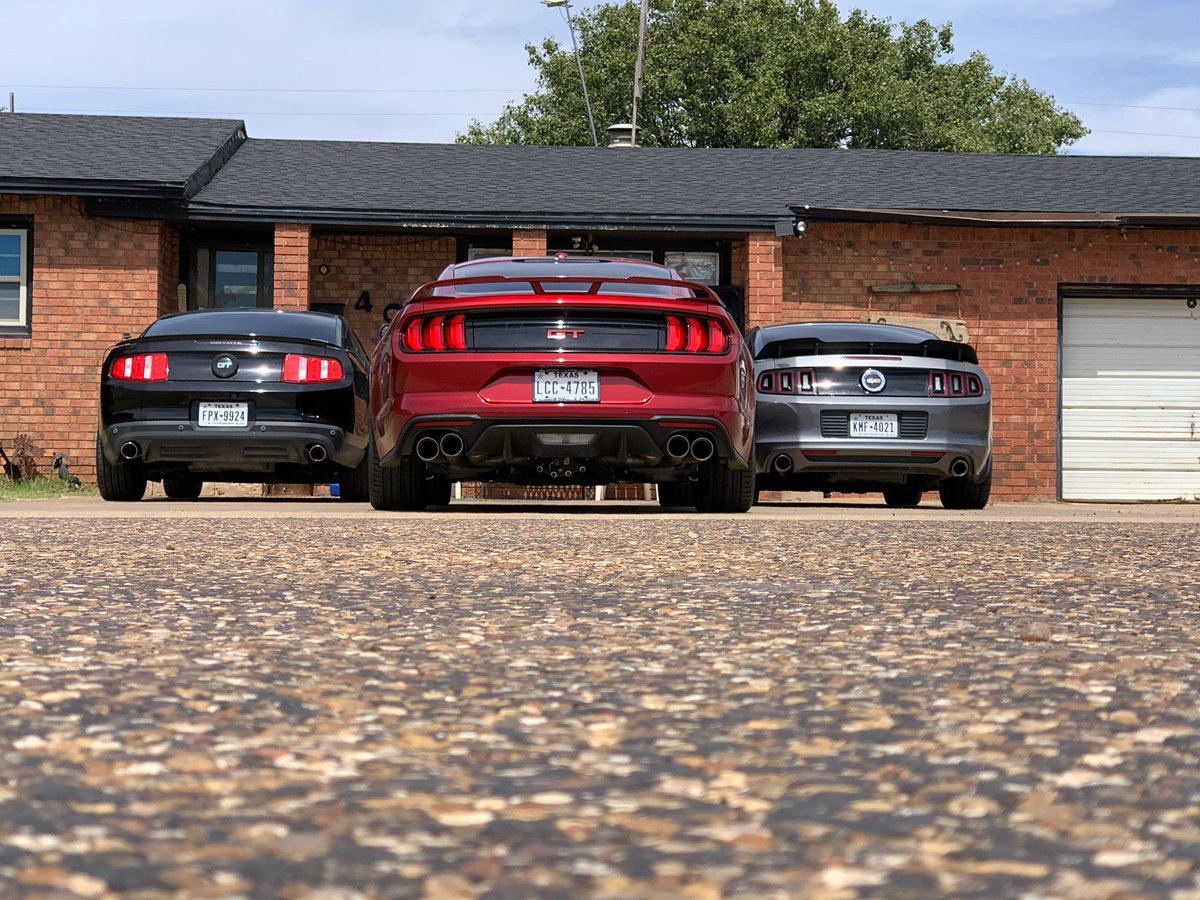 Cam_Amalla1's tweet image. 3 coyotes on the hunt #coyotenation #mustang #modmustangs #fordforlife