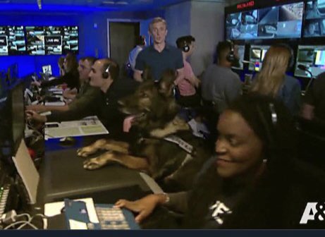 JFracci's tweet photo. See that @GreenesGreatest @GreeneCountySO @SheriffArnott is taking a break😞 but honestly, can there EVER be a better tv moment than K9Lor producing? I think not.  @JamesCraigmyle  #nuthinTopLor #emmyMaterial #ourHero 💙❤️ #LivePD https://t.co/D6cwVvmEIN