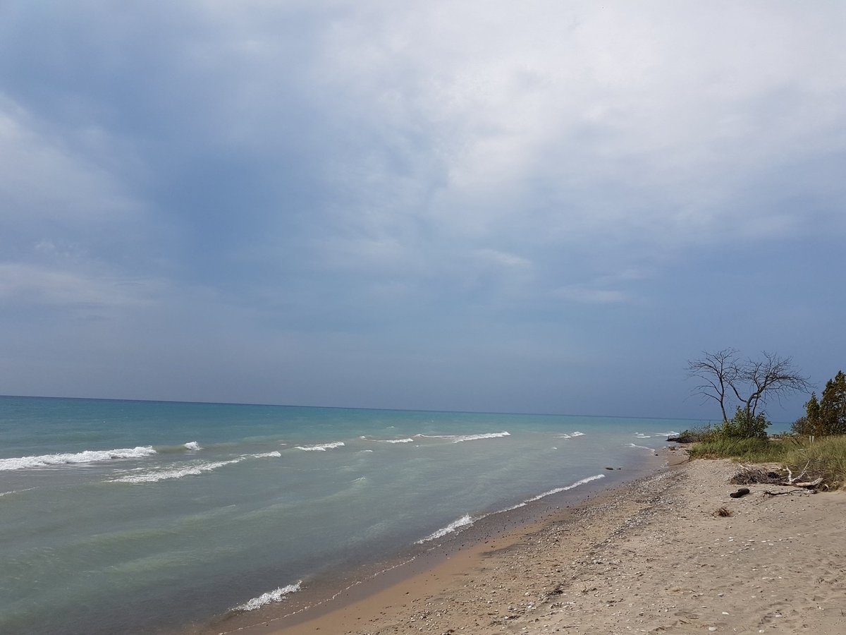 hogey79's tweet photo. Fantastic PA Day spent @PointFarmsPP #outdoorclassroom #beachglasshunting #tinywaves #turquoisewaters #4armedmonster https://t.co/ZTMCuO5PHq