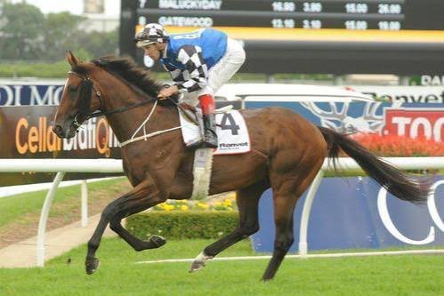Durango Star (Mawingo - Eumeralla Miss) wins well at Swan Hill for <a href="/symonwilde/">Symon Wilde</a> at just his 3rd start collecting almost $30k for connections. Mawingo’s progeny are  taking off and he now boasts an impressive winners to runners percentage from his first crop.
