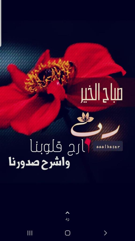 بكراحمدبخش (@bakhshbakr) on Twitter photo 