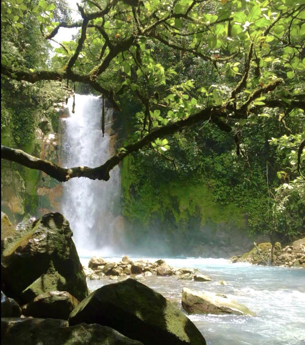 MillerDwan's tweet photo. Dinner w/ @IrisBApfel & @MANewYork, @gucci bracelets from Security Jewelers, a 4th of July party at @HaileySault, a rustic Costa Rican farm adventure - and so much more. Be sure to get your #ARTcetera tix so you can bid on the extraordinary auction items. https://t.co/Y9a4o8JC6V https://t.co/AMCQnysJKw