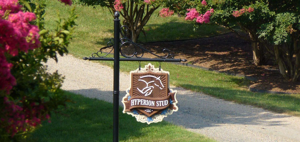 As the 2019 breeding and inspection season has come to an end, we are pleased to introduce you to our 2019 foal crop and our expected foals for 2020!

hyperionstud.com/hyperion-stud-……/

#hyperionstudglobal