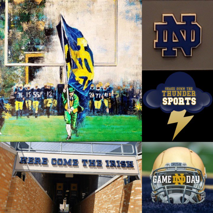 ShakeDownTheThu's tweet photo. #GameDay #GoIrish #NewMexicoWeek #BeatLobos #Team131LetsGetItDone ππβ‘ https://t.co/KFHYNGFOuX