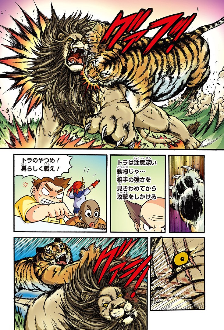 Kadokawa 児童図書編集部 どっちが強い ライオン Vs トラ 全ページ迫力のバトルが繰り広げられます 生息地域や習性 ヒョウなど他の動物のことも楽しく学べるよ どっちが強い ライオン トラ T Co Cdx9vjvovp T Co