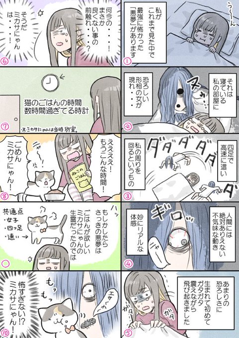 夏も終わりですがまだまだ暑いので、猫にまつわる怖い話を･･･。

本当になんだったんでしょうか･･･？
 