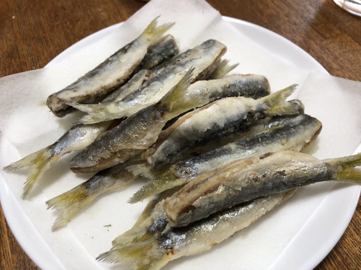 かざーな 揚げ物だもの 日の出前から友人たちと一緒に釣り糸を垂らし 成果は大漁 セイゴ2匹を塩焼き サッパ42匹を唐揚げでいただきました ママカリの別名の通り ごはんが止まらないおいしさ ごちそうさまでした