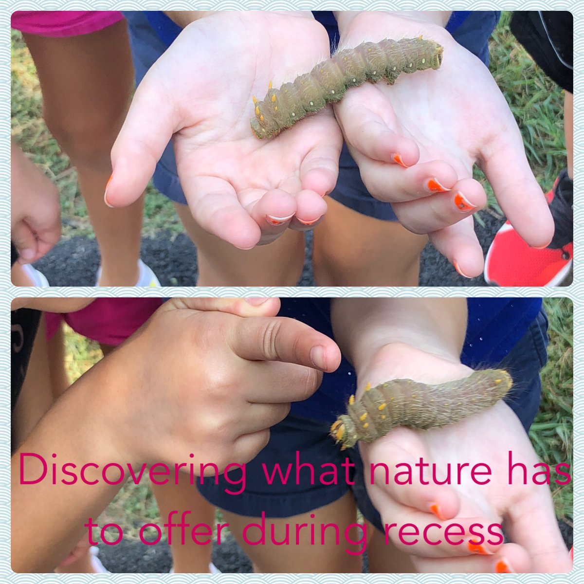 teachinginsixth's tweet photo. What a busy week! An assembly with Dr.Recess to learn new cooperative games, learning about tectonic plates and boundaries and finding critters at recess. https://t.co/4OZlz67T0v