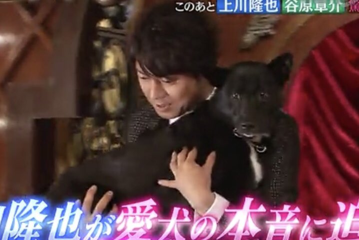 Nao Pa Twitter 第1回癒し系上川隆也選手権 やはり上川様はノワールちゃんが側にいたら癒されますよね そして そんな上川様の幸せな顔を見れる私達も癒される アブナイ夜会の時大切に抱っこして出て来られたこのシーンがとても好き T Co
