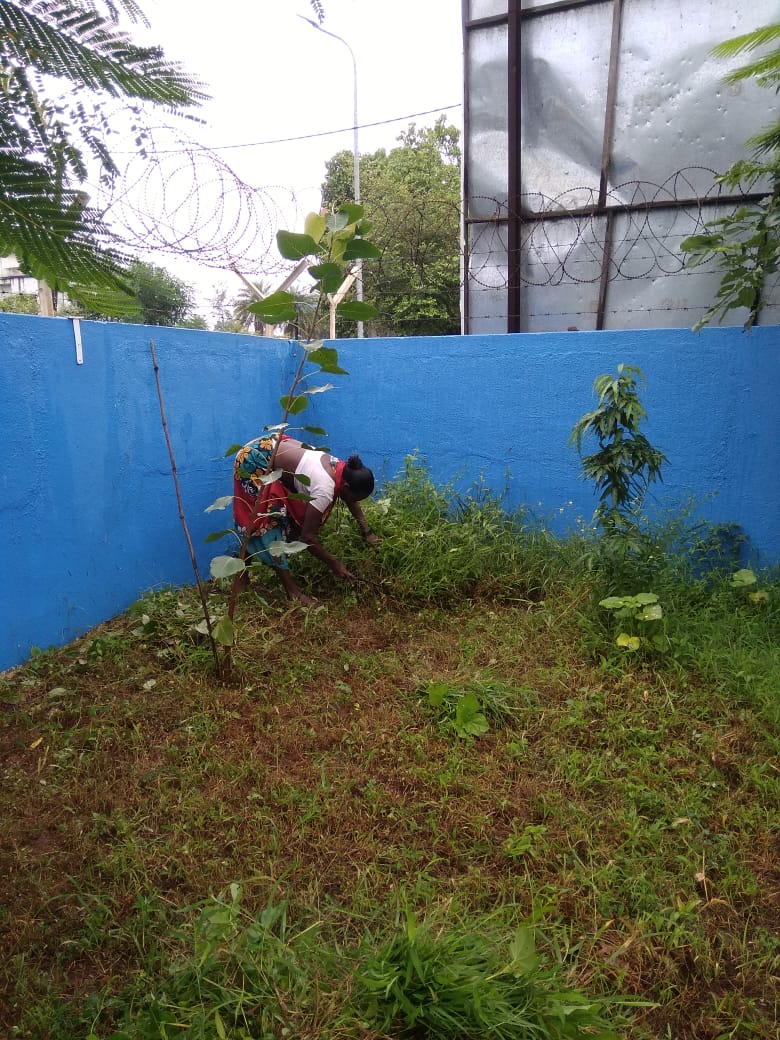 Pariyari Group Gram Panchayat tweet media