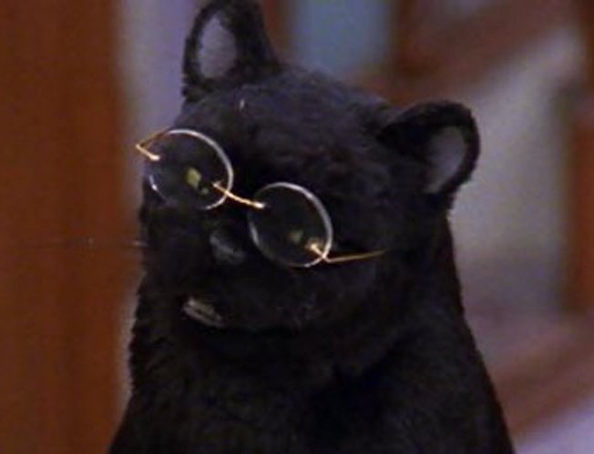 𝓢𝓪𝓵𝓮𝓶 𝓢𝓪𝓫𝓮𝓻𝓱𝓪𝓰𝓮𝓷 (@catimprisonment) on Twitter photo 