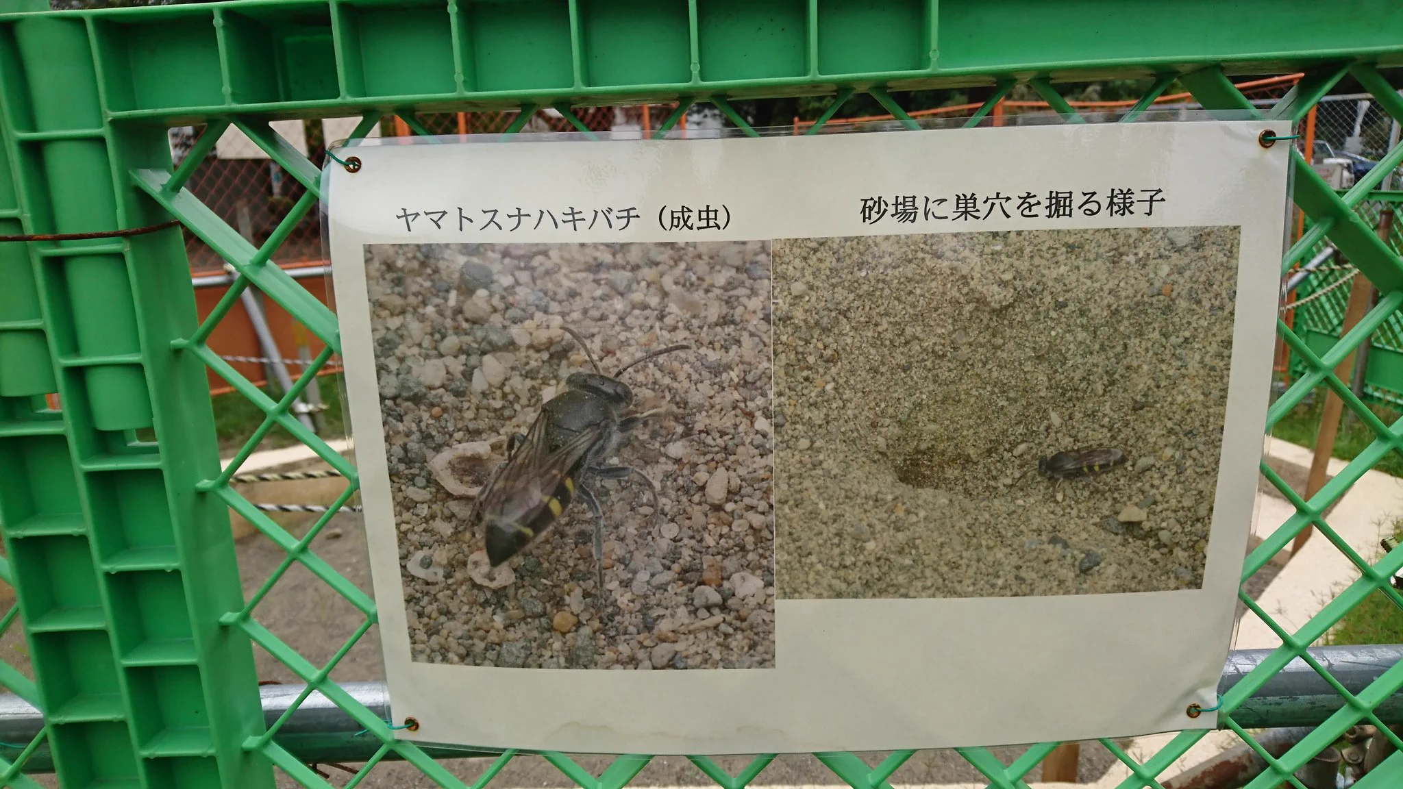 公園の砂場が使用禁止！まさかの理由に納得。