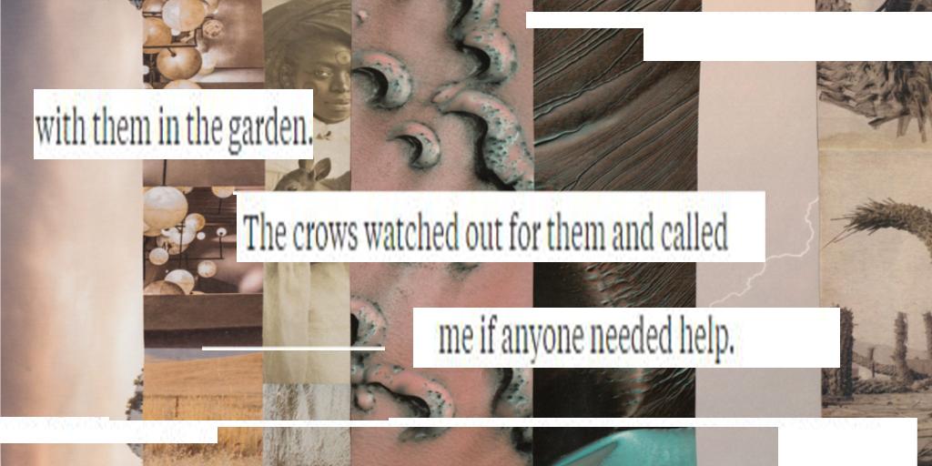(a writing prompt)

The crows watched out for them and called
me if anyone needed help.

I think we'll call this one #FoundFriday or #FictionFragments ...  #LightningLitPrompt #writingprompt
#WritingCommnunity #flashfiction
#SpecFic #SFF #literarymagazine