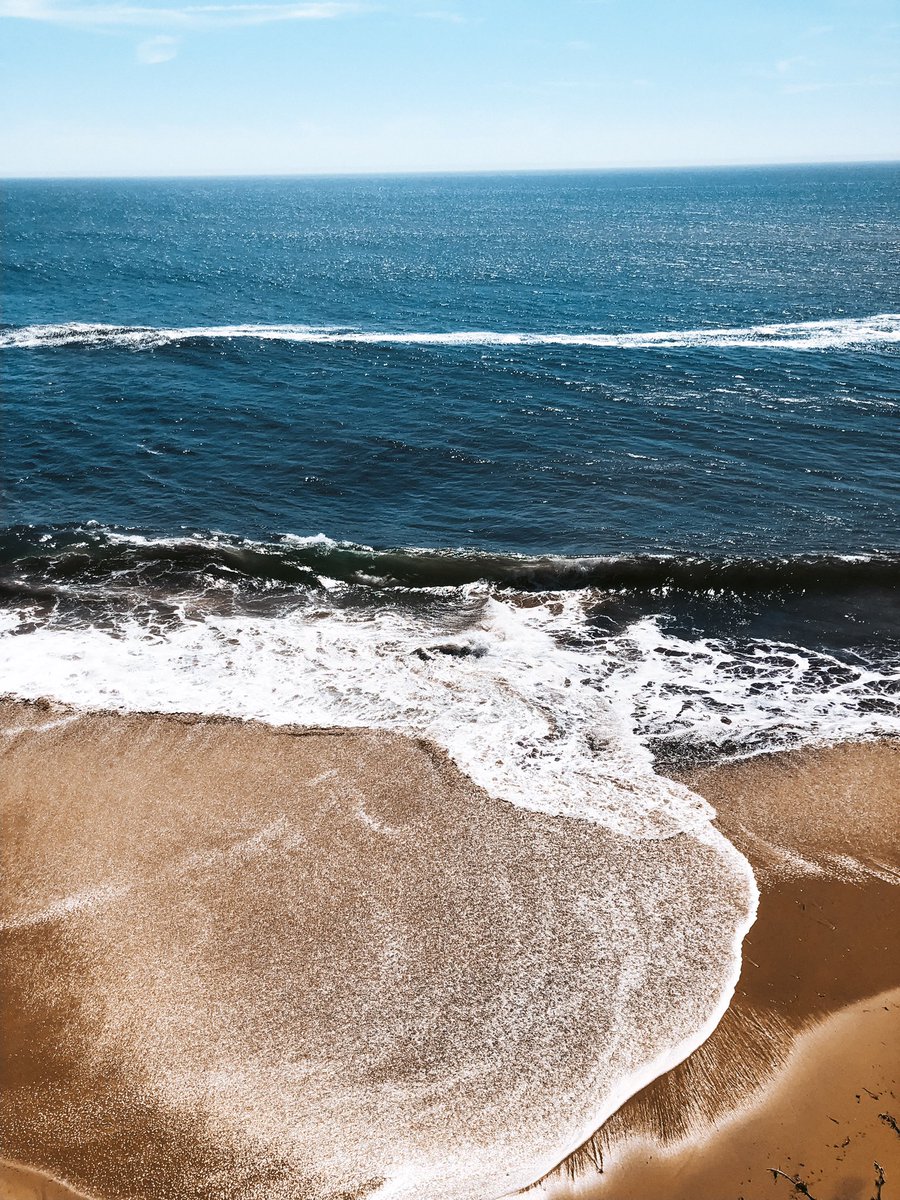 _cassheen's tweet photo. from the mountains to the ocean ⛰🌊
explored Santa Cruz today with the fiancé and got to go to my favorites places #alwayswander https://t.co/qb7Bx9G4kG