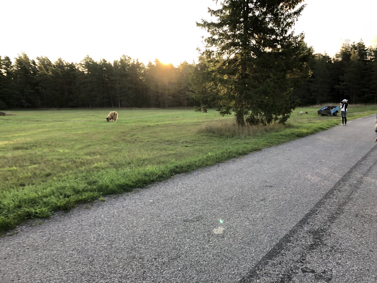 ianthetechie's tweet photo. Beautiful morning here in Vormsi at the start of day 2 of the #g48vormsi @e_Residents hackathon! https://t.co/ATFgwo3dPl