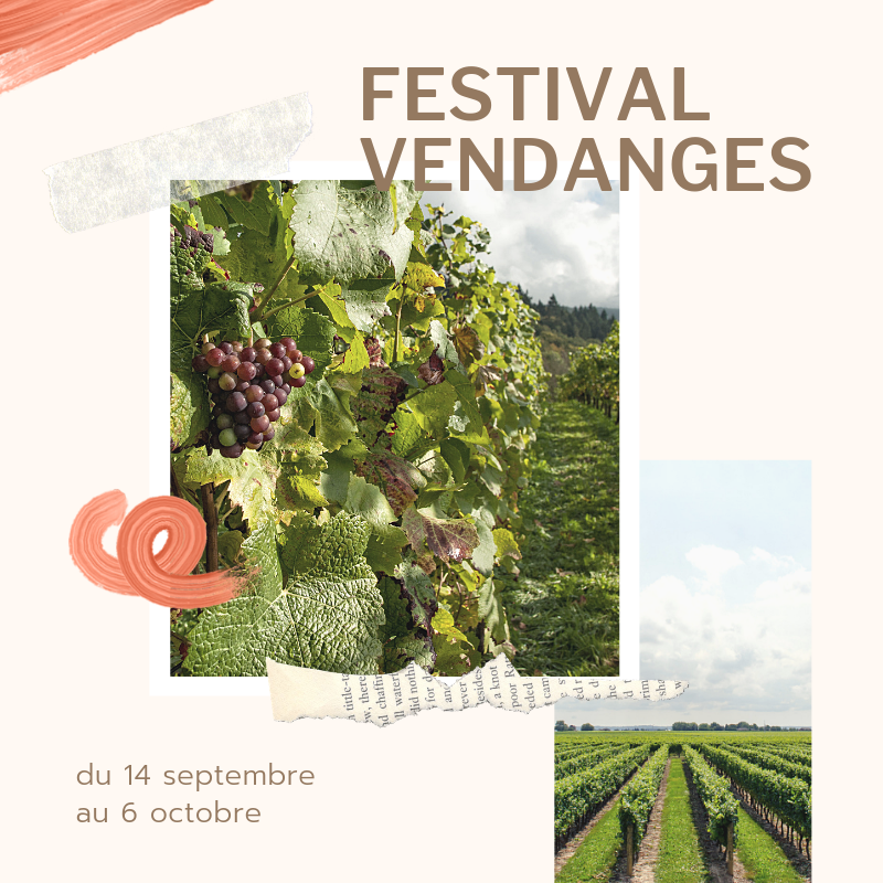 Carrefour des Conteurs tweet media