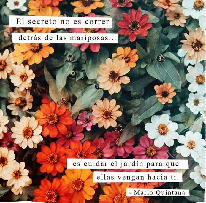 s_msonia's tweet photo. @PMallagray @rgb_buo @marilsatinello @montse131958 @patriceGaubert1 @_Amy777 @EstherBenito9 @franmartin24 @maricarmengar15 Buenos dΓas #MagicPilar
& a todos π
Que sea un buen dΓa π
#FelizSabado
#BuenosDias https://t.co/HiRYwzLTJO