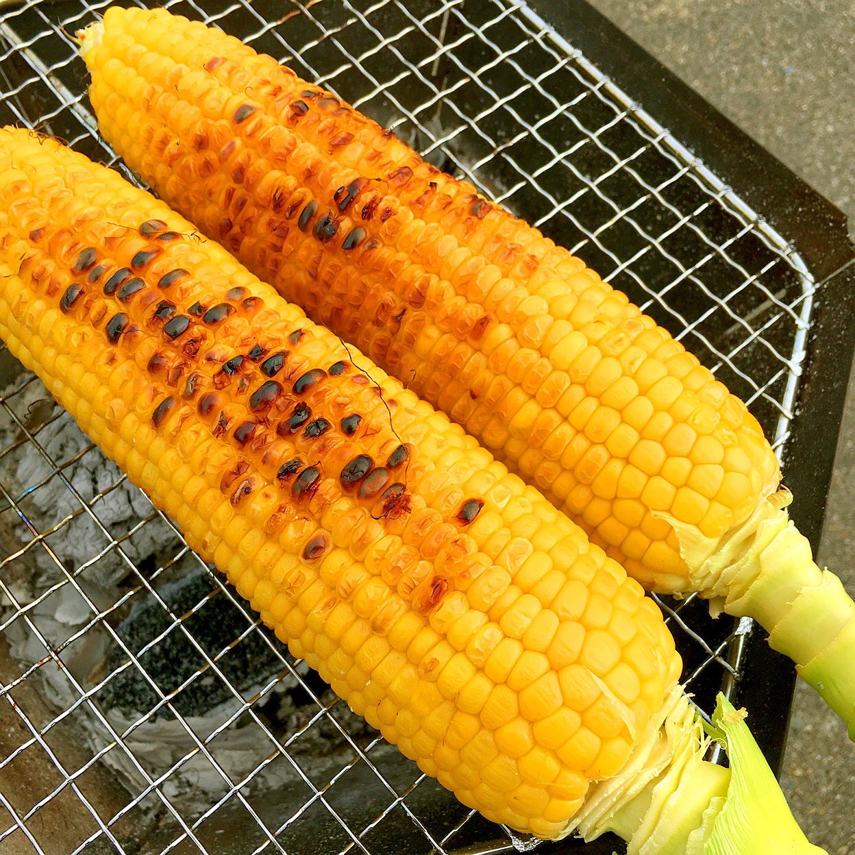 いなばまこと 焼き鳥 で昼食 採りたてのトウキビも焼いた 炭火で焼いたトウキビ これまた美味いわ 甘みのあるスイートコーンだけど醤油もgood 河川敷で昼から呑んでます 焼きとうもろこし とうもろこし 炭焼き 昼呑み ビール