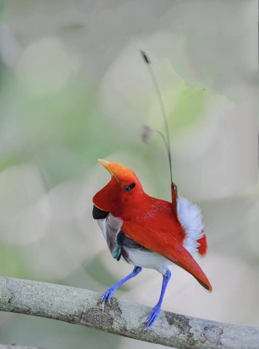 Kimin eseri bu. 
Bu sanatçı kim.