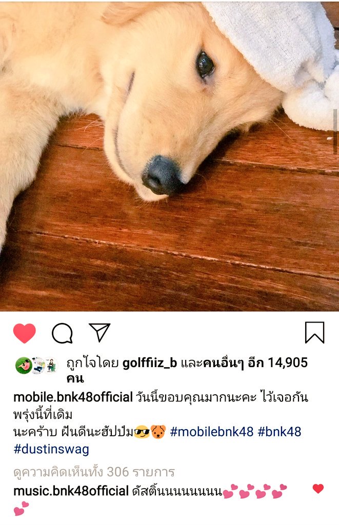 นู๋น้อย 🐕 ¯\_(ツ)_/¯ 🐕 tweet media