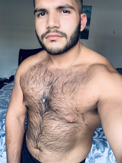 Fur ball 😌🤗 https://t.co/y6JZrYLNg6