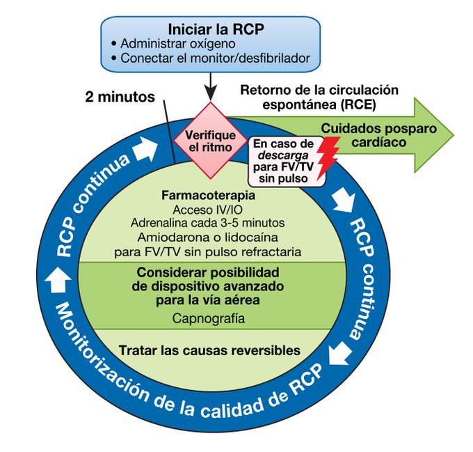 #Algoritmo Circular de #ParoCardiaco en Adulto
Actualización AHA 2018.
Muy bueno!!!