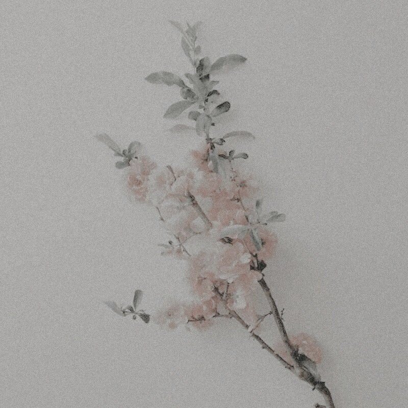 txtellybows's tweet photo. - stan elbows -

🌸 
        🌸
                 🌸
                          🌸
#MOASelcaDay @TXT_members @TXT_bighit #TOMORROW_X_TOGETHER #투모로우바이투게더 https://t.co/V3DVm5ajSW