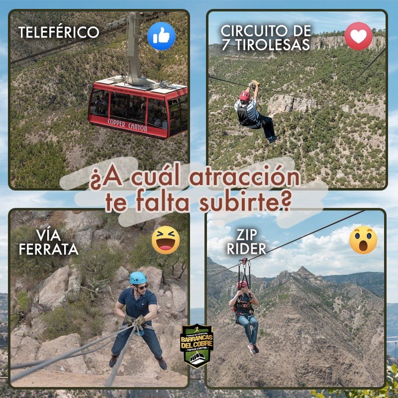 webcamsdemexico's tweet photo. Viaja a Chihuahua y vive una de sus experiencias🤩
#barrancasdelcobre #parquedeaventura #ziprider #chihuahua
@VisitaChihuahua
https://t.co/GRSdGMf7eY