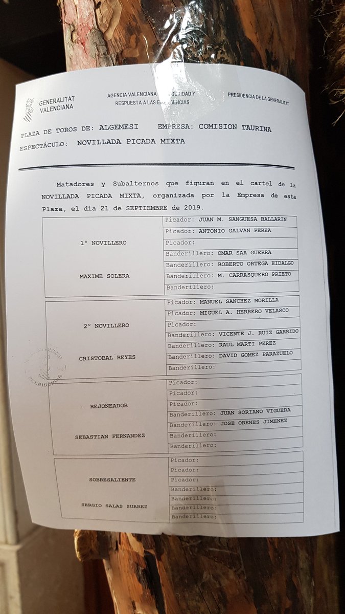 verdeguer's tweet photo. Empieza #Algemesí. Saltillo para Maxime Solera y Cristóbal Reyes y uno de Cebada para Sebastiá. Fernández. @Comisioalgemesi #SetmanadeBous #BousAlgemesí19 https://t.co/W0LySQ2LXk