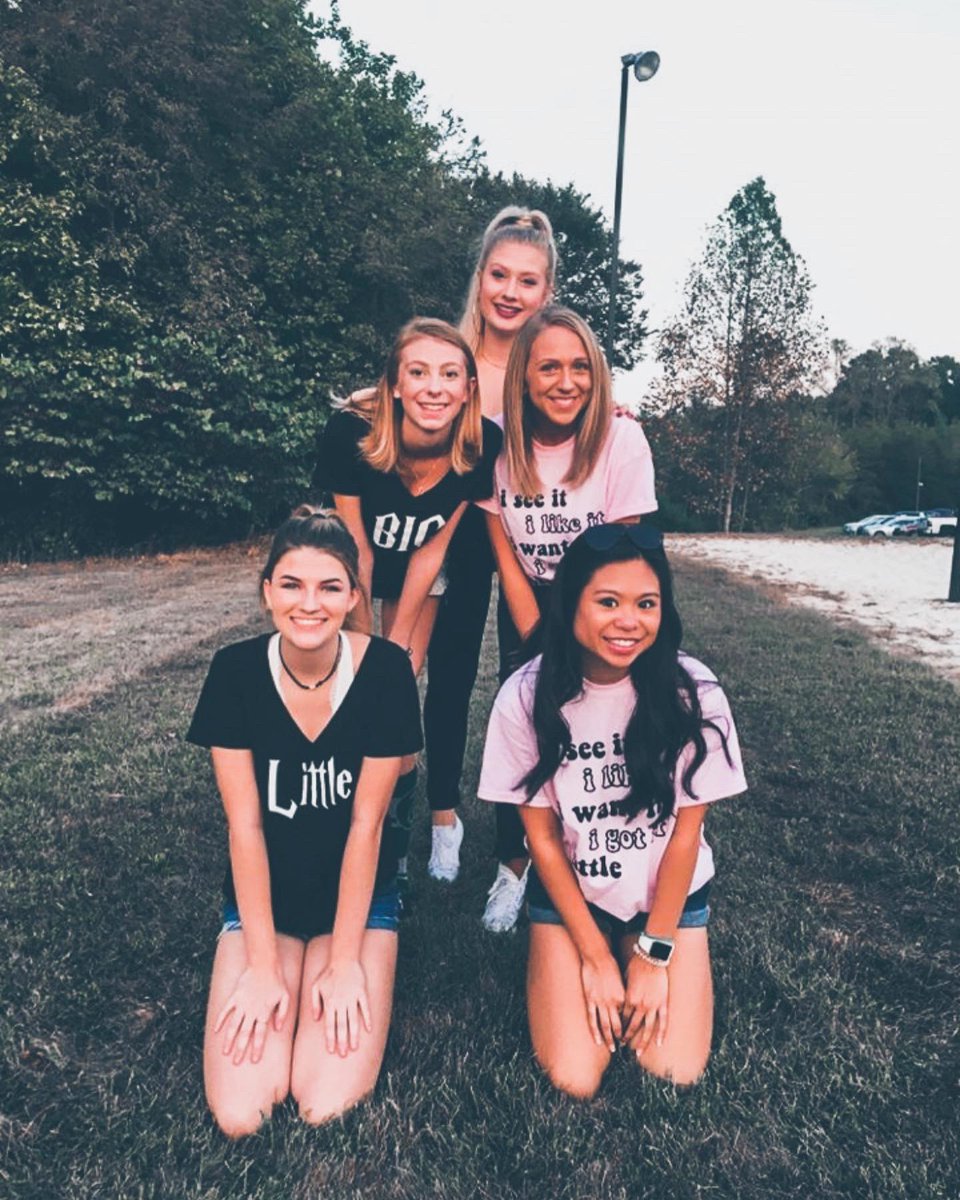 Alpha Omicron Pi ETSU tweet media