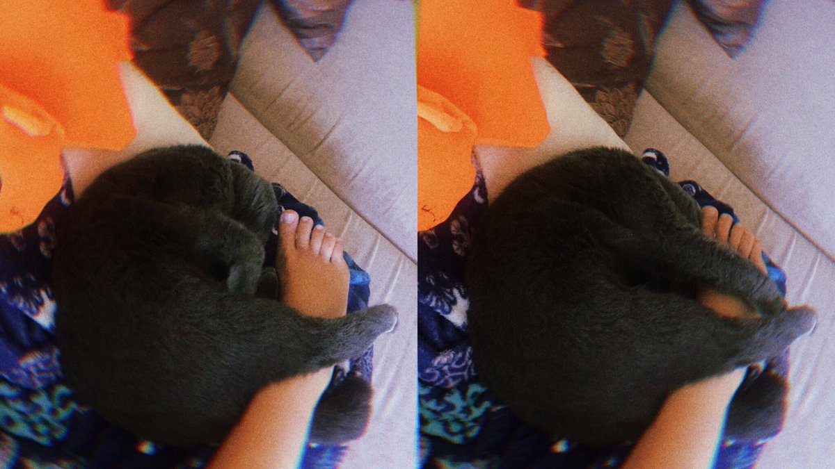 любовь - это когда есть на кого свою лапку во сне забросить.💛🔗