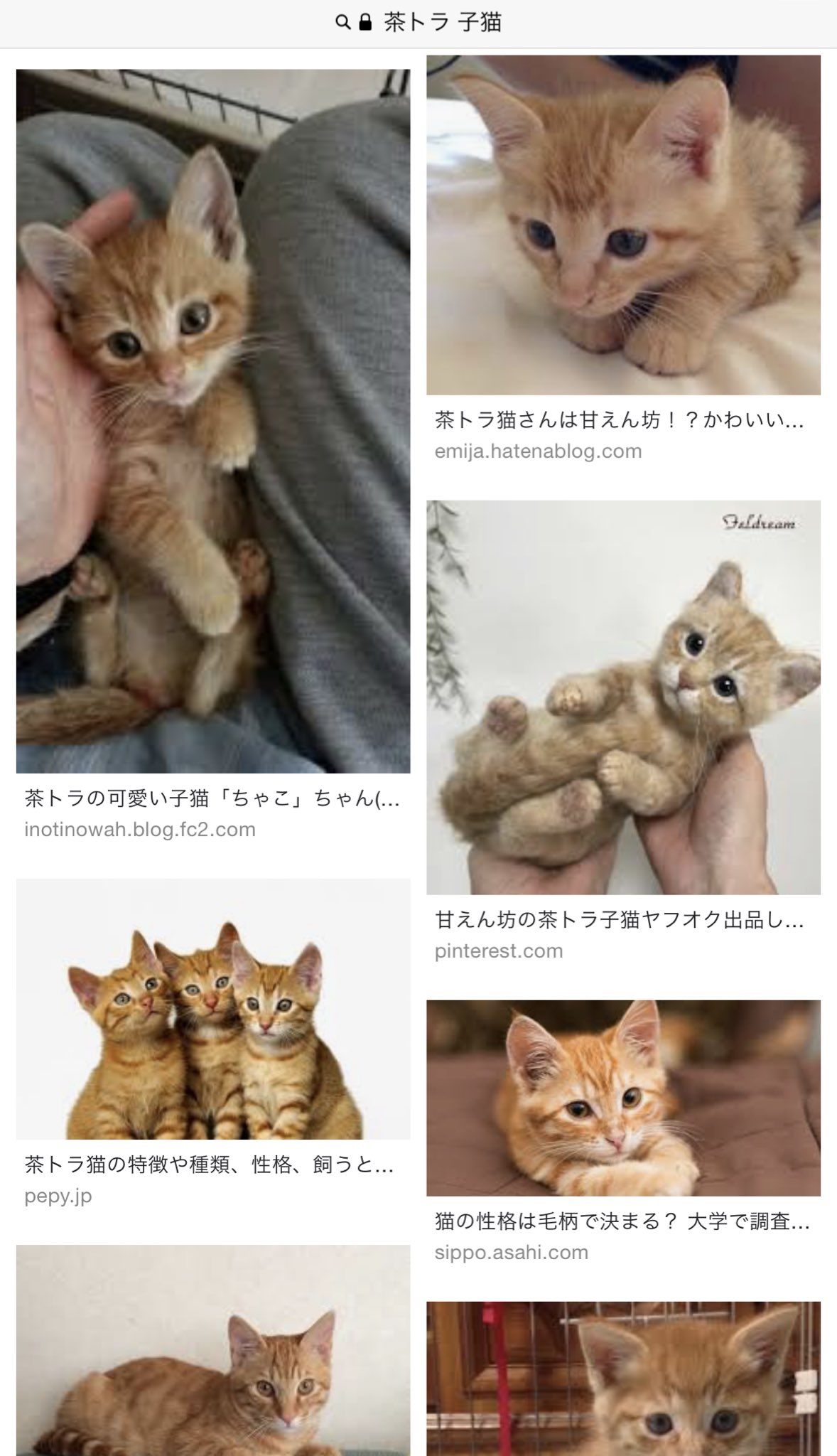 たけわん 未練がましさ