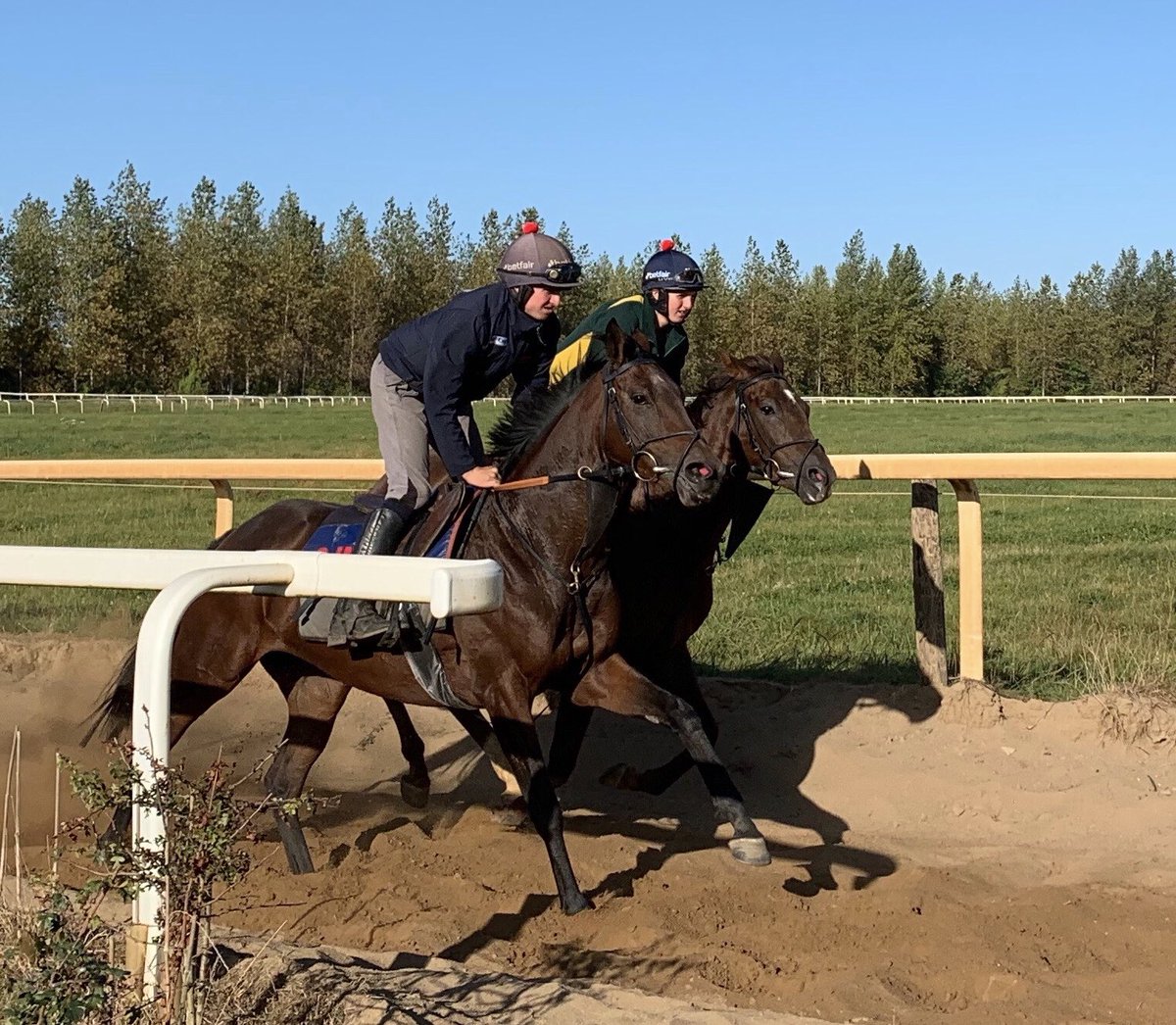 Louie_Martin2's tweet photo. Enjoyable morning at Warren Chase seeing our new filly... Fame and Glory x Silaoce. Half sister to Thomas Darby. In training with @O_J_murphy91 @Gertumeltynew Looking forward to seeing her on the track! #NonLeagueRacing 🔷🔶 https://t.co/26wKYo8rbH