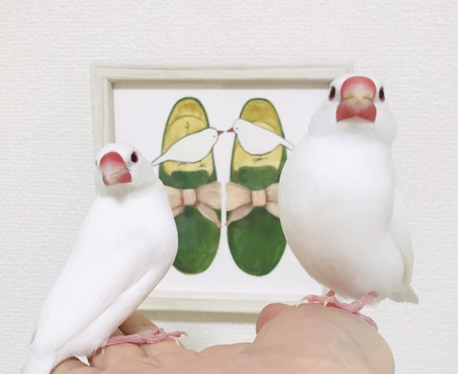 udonchan0401's tweet photo. tomocoさんの絵の前で記念撮影(*´ω`*)
🍲せいっ!(ビシッ)
🍢えへ❤️
#文鳥 #tomoco #うどんちゃん #おでんちゃん https://t.co/ZfLO9UMT3s