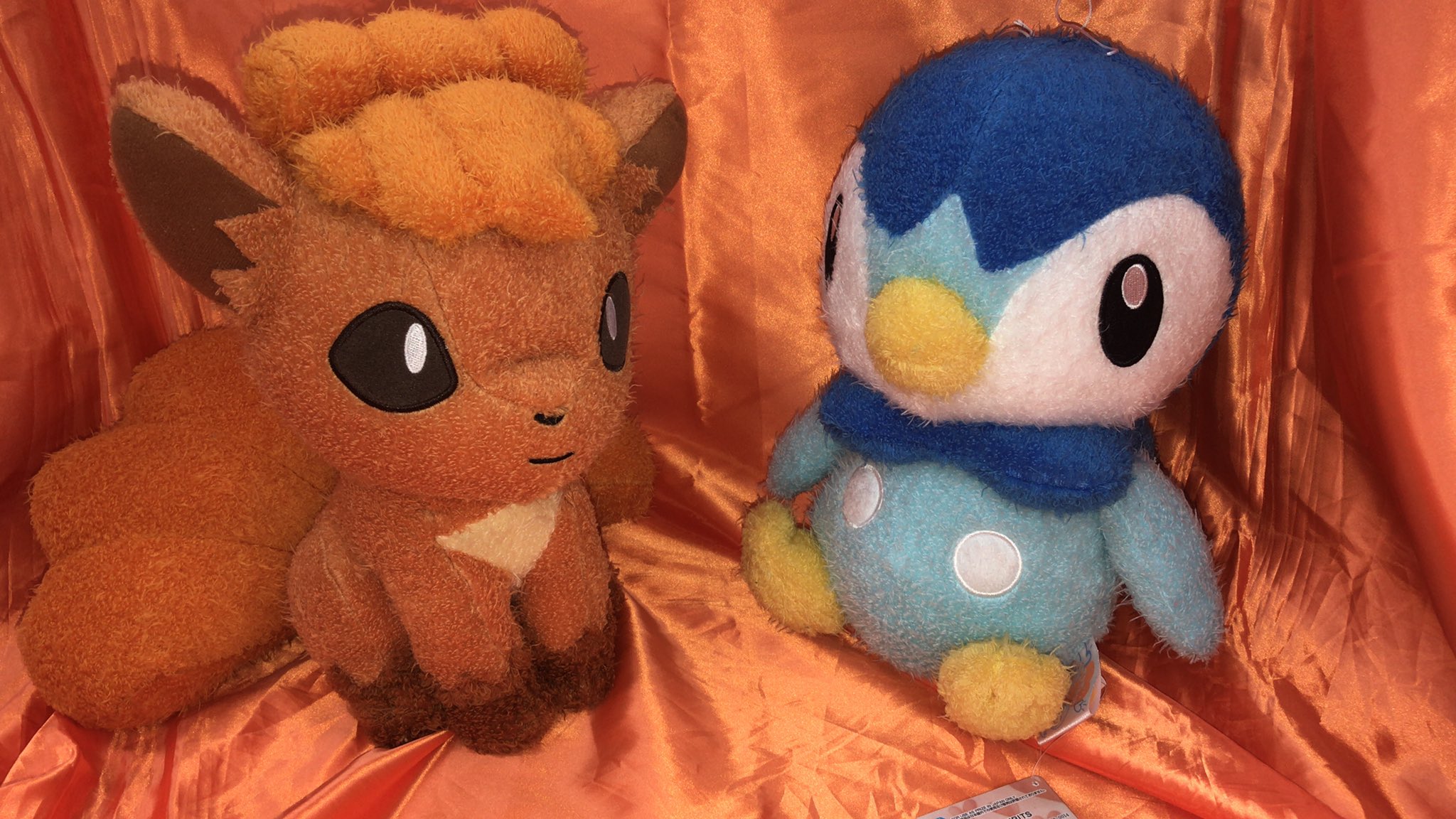 ポケットモンスター サンムーン ポケだっこでっかいぬいぐるみ ロコン ポッチャマ が入荷しました どちらも優しい肌触りのタオル生地でだっ ワンダーシティ札幌 プラボ札幌西町店 Twitter 19 09 21 札幌市のアミューズメント施設 ワンダーシティ札幌