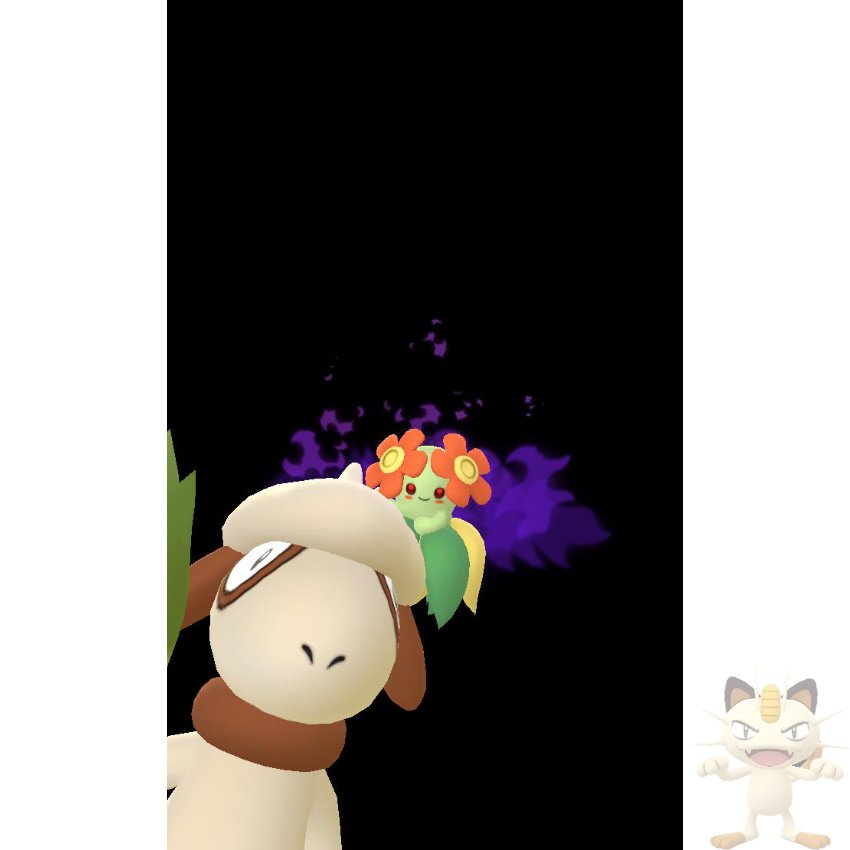 56neko28 ᓚᘏᗢごろ猫にゃ ᗢᘏᓗ シャドウナゾノハナをキレイハナに進化させた Smeargle Gosnapshot Pokemongo ドーブル Goスナップショット ポケモンgo Shadowpokemon シャドウポケモン T Co 9fe4yc6ccb Twitter 56neko28 ᓚᘏᗢごろ猫にゃ ᗢᘏᓗ シャドウナゾノハナをキレイハナに進化させた Smeargle Gosnapshot Pokemongo ドーブル Goスナップショット ポケモンgo Shadowpokemon シャドウポケモン T Co 9fe4yc6ccb Twitter