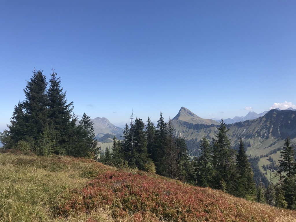 erikdewildt's tweet photo. Today on Sota summit HB/VD-030, Le Molard - 1752m, 6 points. #sota #hamradio https://t.co/bUyu0b3uHr