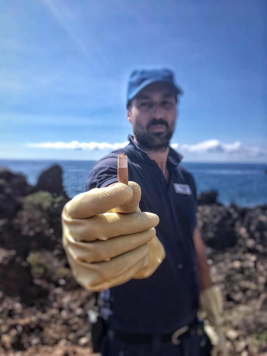 Dear smokers, please look 👀 where you throw your cigarette butts, a beach is not an ashtray 🌍😊 #WorldCleanupDay 
#DiamondReasorts #DiamondGoGreen #SantaBarbaraGOC @ElenaDortaSBGOC @VictorGilRM @KittiActtiv