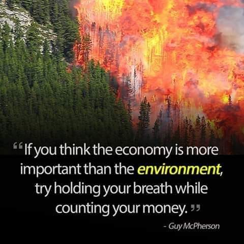 rohian's tweet photo. #Strike4Climate https://t.co/KGo8p7sot6