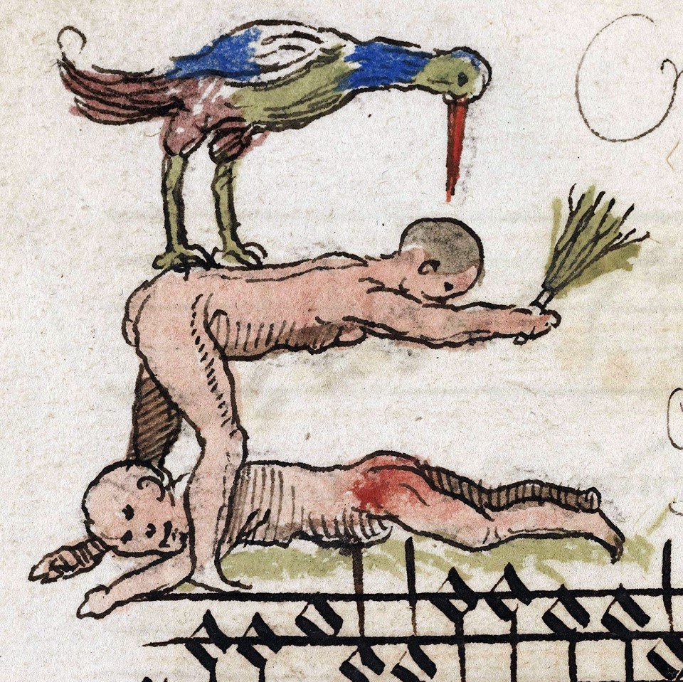 Some butts like to sting(BnF, MS Français 2644, f. 142r; Cambrai, Bibliothèque municipale, MS 126B, f. 76v)  #MedievalTwitter