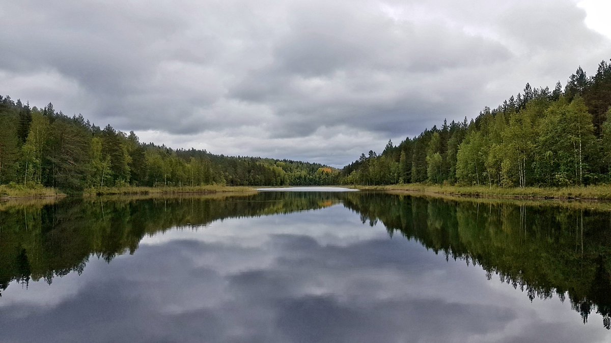 Lake #Tervajärvi National Park #Repovesi