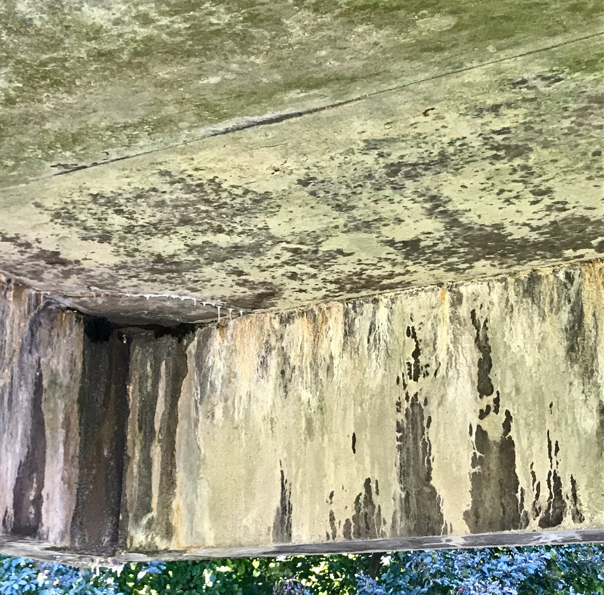 LizAtkin's tweet photo. Accidental art, Crystal Palace #linesandlines #cracked #old #aged #texture #textures #accidentalart #grime #dailytexture #decay #SkinPicking #debris #layers #charcoal #markmaking https://t.co/UbXexM9DXP