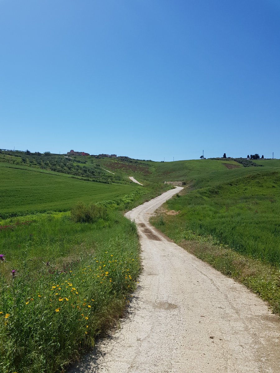 FedesMood's tweet photo. Magna Via Francigena (Sicilia)__Cammino da Palermo ad Agrigento 🎒 (apr 2018)
-Percorso da Grotte a Agrigento

#magnaviafrancigena #sicilia #camminoinsicilia #pilgrimage #backpacking #hiking #adventure #nature #landscape https://t.co/KAxU0tNEQ0