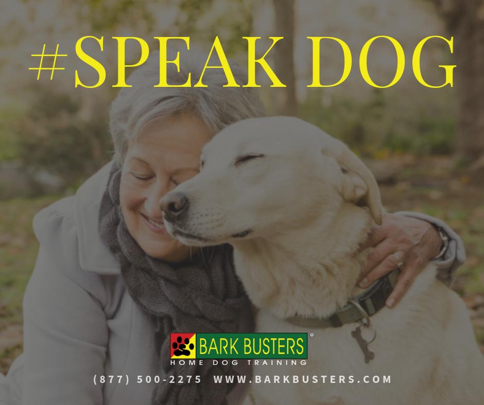 BarkBustersWSW's tweet image. Having trouble communicating with your dog and getting him to listen to your commands? #BarkBusters can teach him to LISTEN so he understands what you are saying.