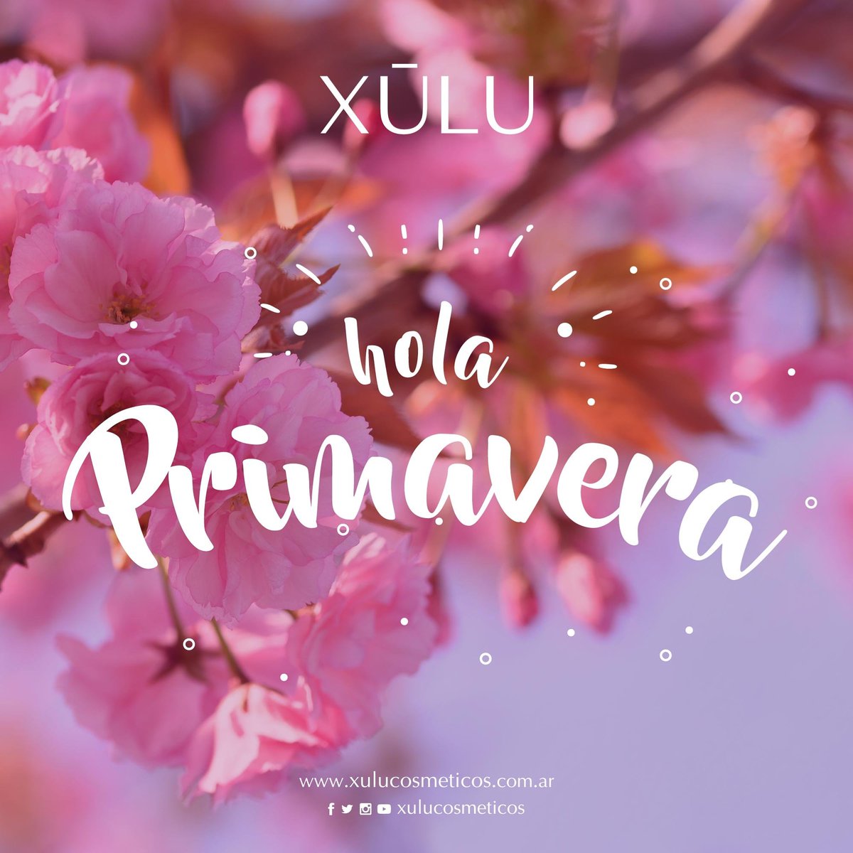 xulucosmeticos's tweet image. ¡Feliz primavera!
#primavera #xúlucosméticos 
#flores #sol #verde #calor